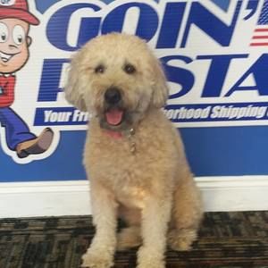 Meet your Posher, Jody